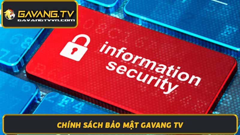 Chính Sách Bảo Mật Gavang TV - Đảm Bảo An Toàn Thông Tin