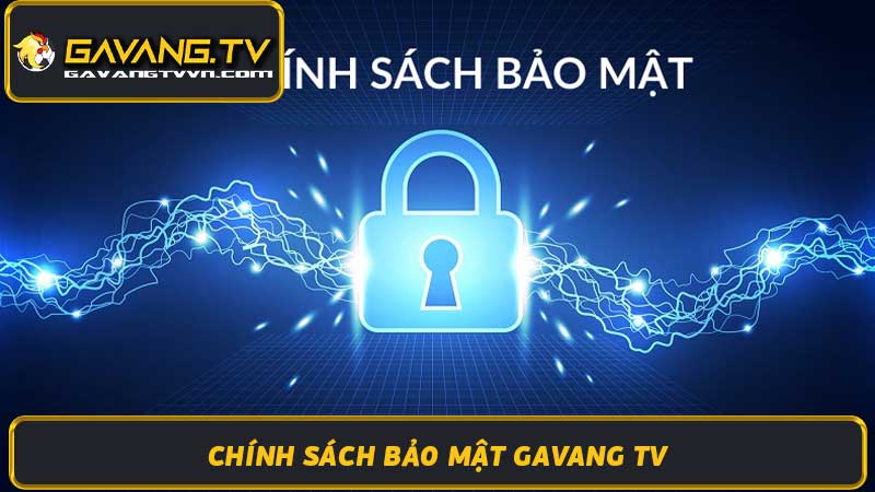 Chính Sách Bảo Mật Gavang TV - Đảm Bảo An Toàn Thông Tin