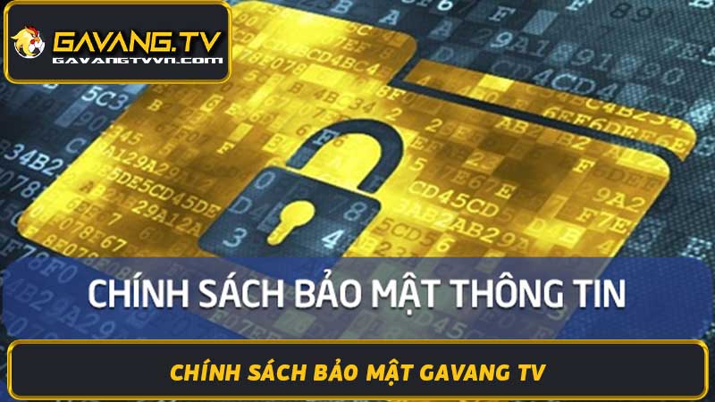 Chính Sách Bảo Mật Gavang TV - Đảm Bảo An Toàn Thông Tin