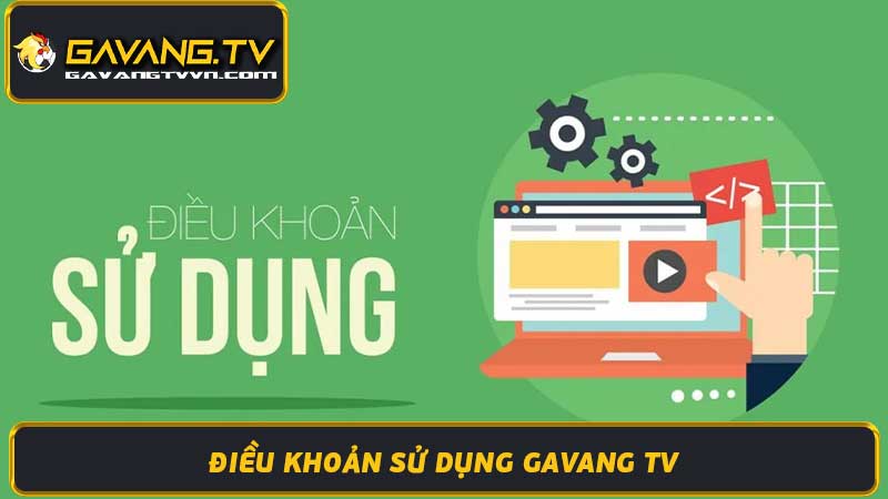 Điều Khoản Sử Dụng Gavang TV Mới Nhất 2024