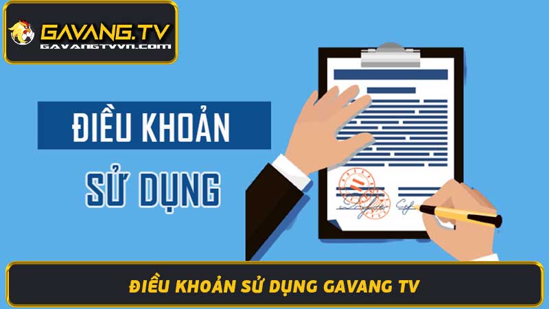 Điều Khoản Sử Dụng Gavang TV Mới Nhất 2024