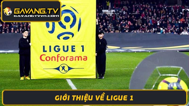 Lịch Thi Đấu Ligue 1 Pháp - Lịch Trận Chi Tiết Mới Nhất 2024