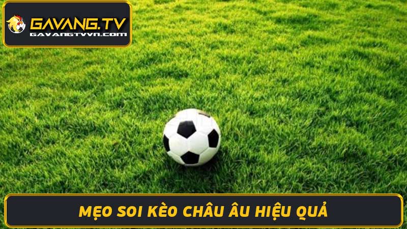 Soi Kèo Châu Âu - Cẩm Nang Cá Cược Bóng Đá Từ Cao Thủ