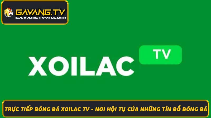 Trực Tiếp Bóng Đá Xoilac TV Xem Bóng Đá Online Chất Lượng Cao